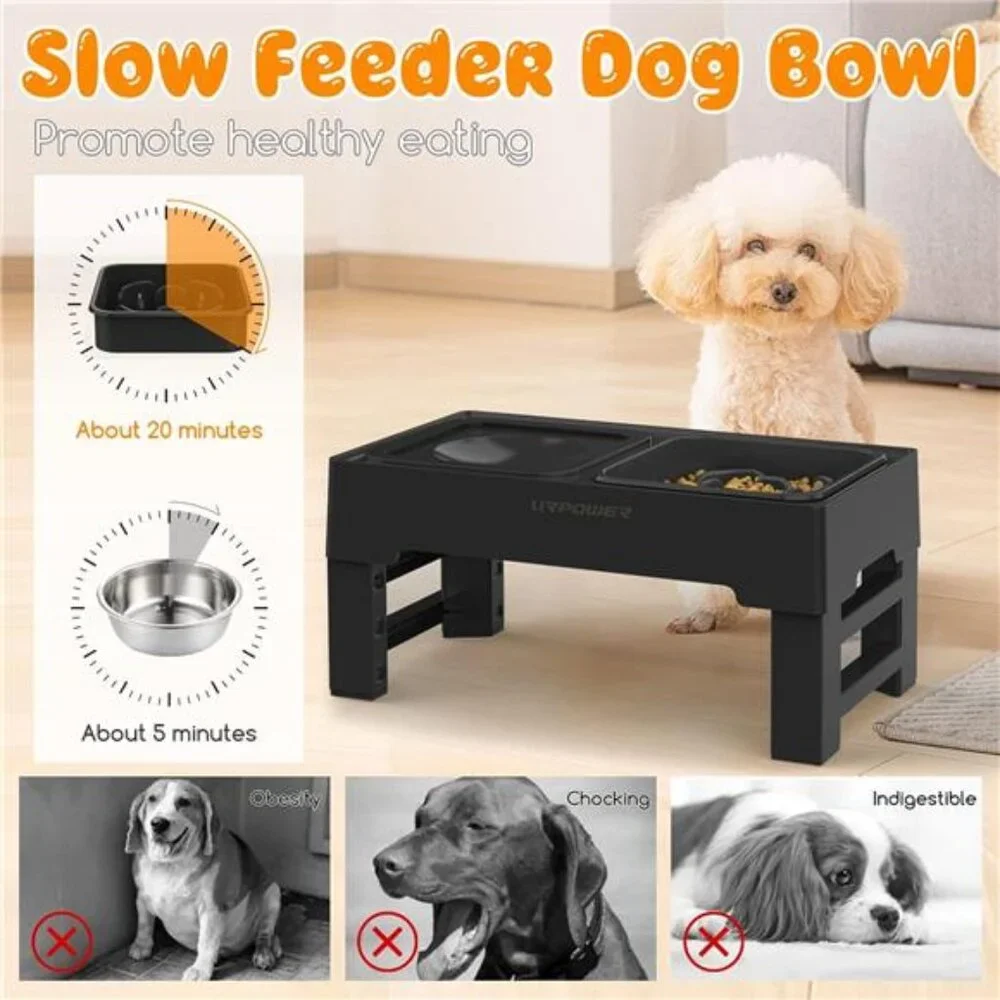 2-in-1 Elevated Slow Feeder Dog Bowls with No Spill Dog Water Bowl 4